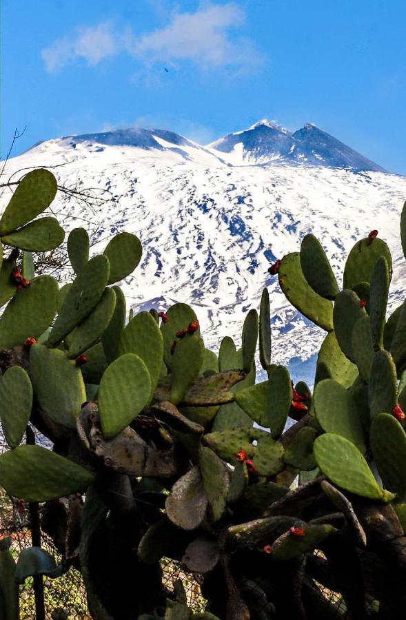 La Pigna Dell'Etna Lejlighed Nicolosi Eksteriør billede